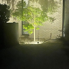 mainGallery-Landscaping 11